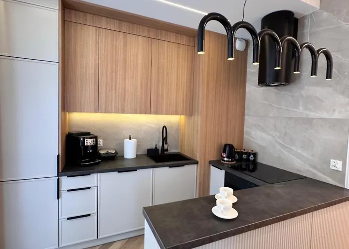 Apartment Family & Business Sauna Baltic Horizon No 1 Premium - 3 Bedroom With Private Sauna, Jacuzzi, Rooftop Gym & Panoramic Terrace, Balcony, Underground Garage