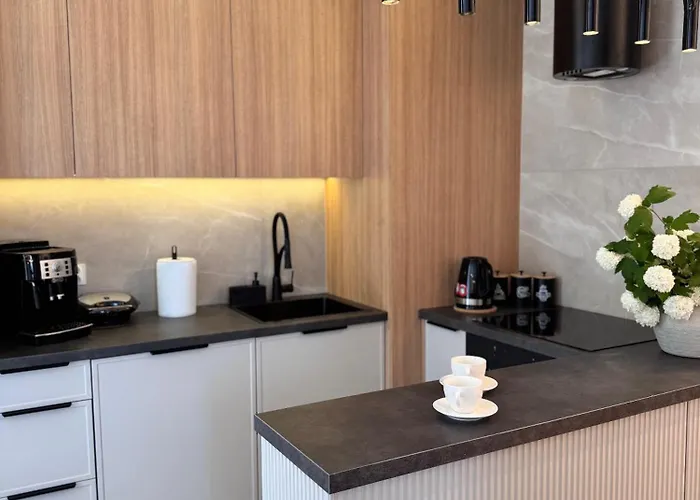 Family & Business Sauna Baltic Horizon No 1 Premium - 3 Bedroom With Private Sauna, Jacuzzi, Rooftop Gym & Panoramic Terrace, Balcony, Underground Garage Gdańsk